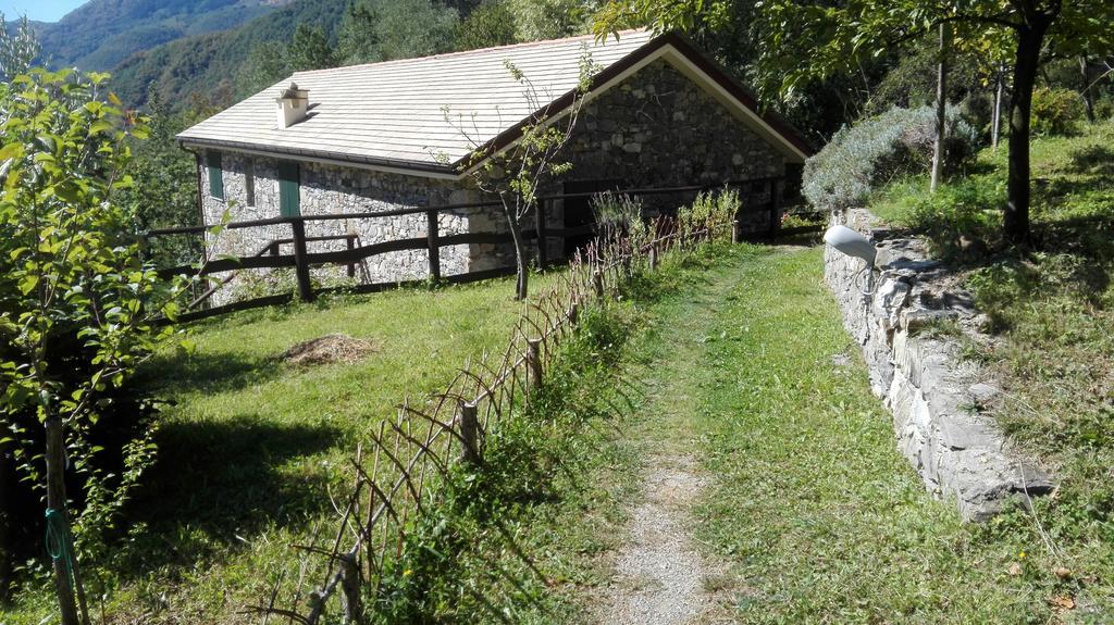 Agriturismo Il Mulino Stibiveri Luaran gambar